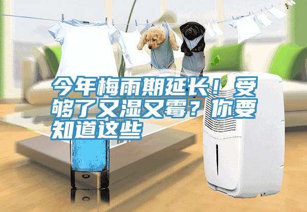 今年梅雨期延长！受够了又湿又霉？你要知道这些