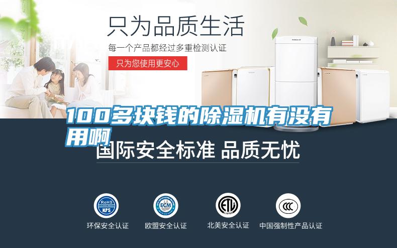 100多块钱的除湿机有没有用啊