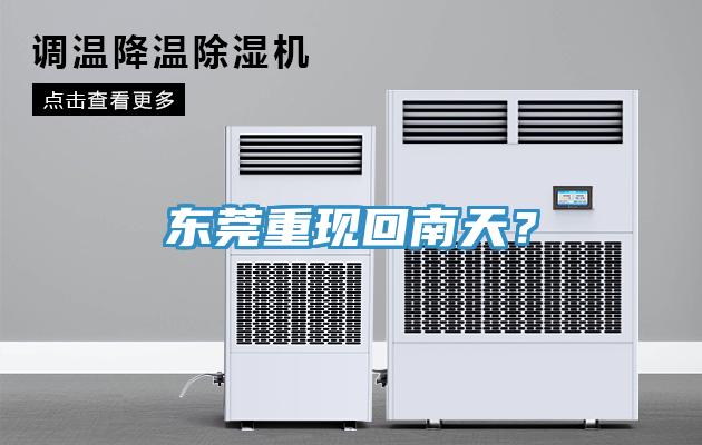 东莞重现回南天？