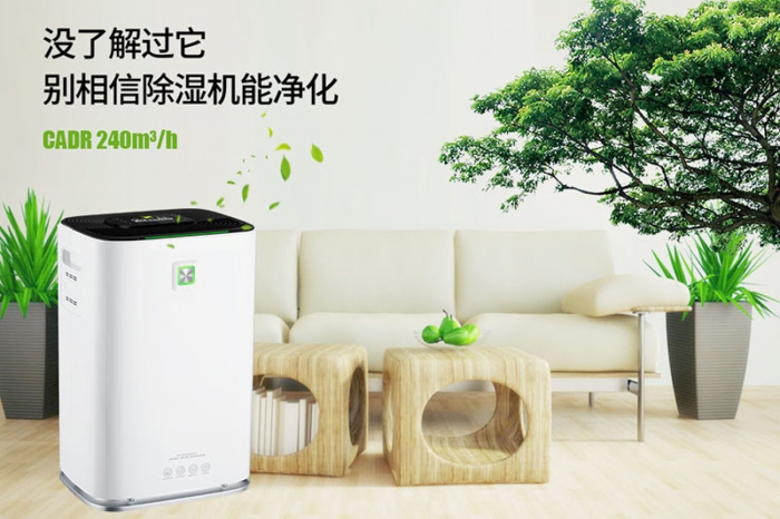 一到回南天狗狗就感冒+皮肤病，怎么办？