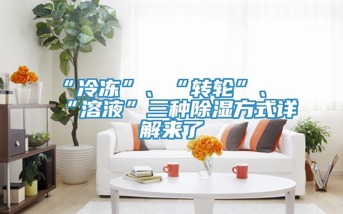 “冷冻”、“转轮”、“溶液”三种除湿方式详解来了