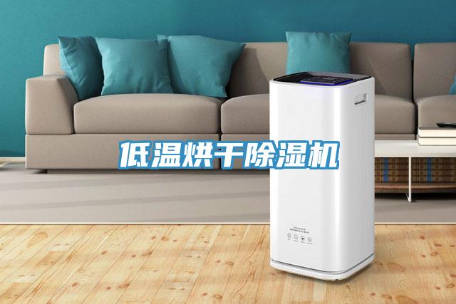 低温烘干除湿机