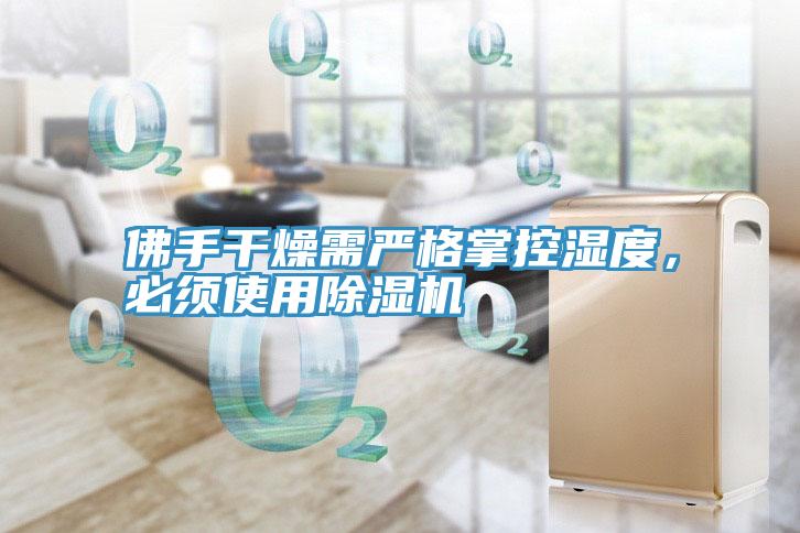 佛手干燥需严格掌控湿度，必须使用除湿机