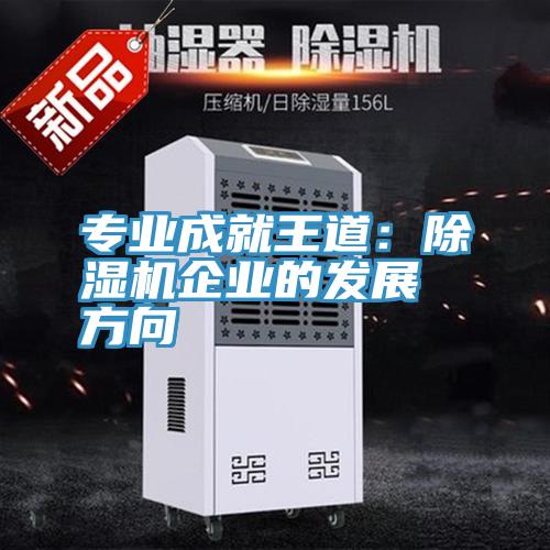 专业成就王道：除湿机企业的发展方向