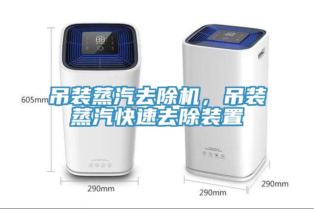 吊装蒸汽去除机，吊装蒸汽快速去除装置