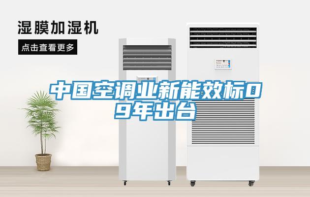 中国空调业新能效标09年出台
