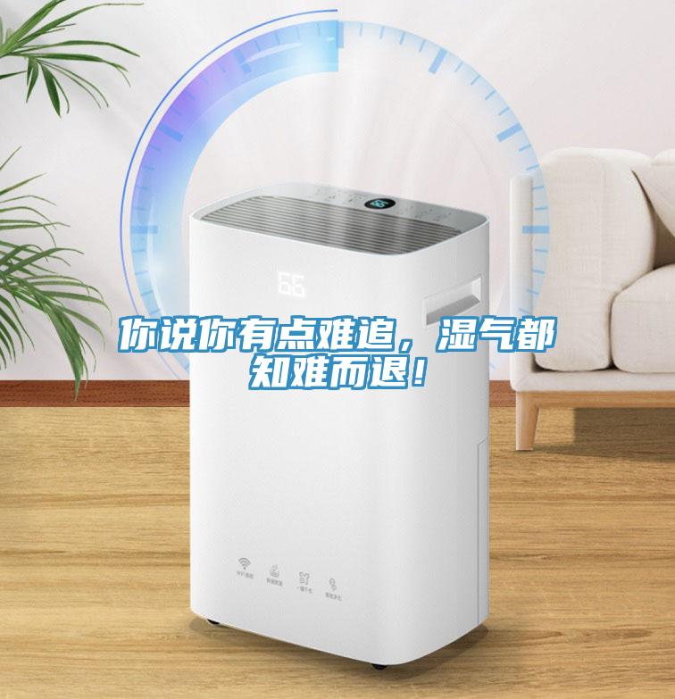 你说你有点难追，湿气都知难而退！