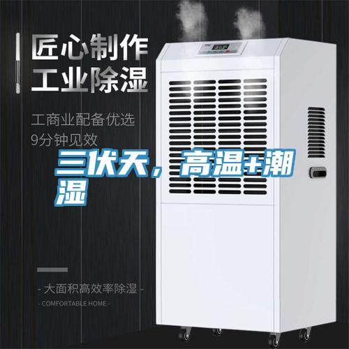 三伏天，高温+潮湿