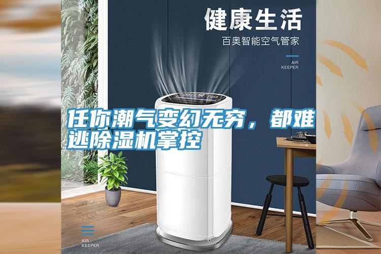 任你潮气变幻无穷，都难逃除湿机掌控