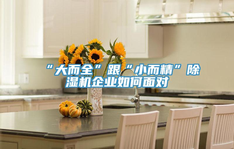 “大而全”跟“小而精”除湿机企业如何面对
