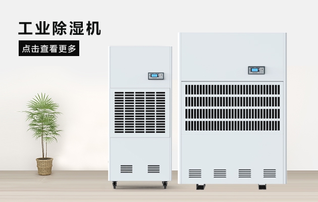 三八节送妈妈的礼物，选这款安诗曼除湿器就对了