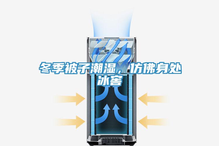冬季被子潮湿，仿佛身处冰窖