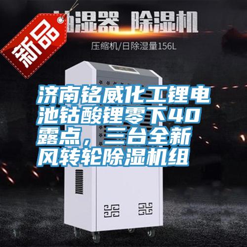 济南铭威化工锂电池钴酸锂零下40℃露点，三台全新风转轮除湿机组