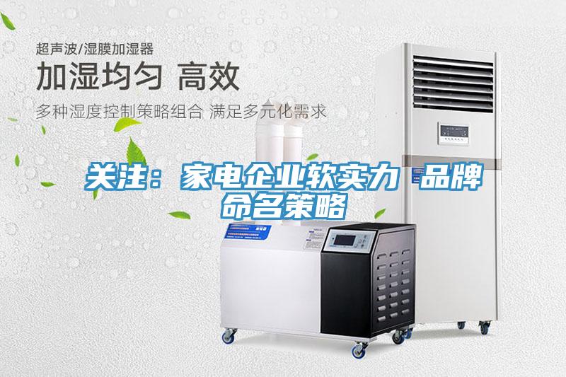 关注：家电企业软实力 品牌命名策略