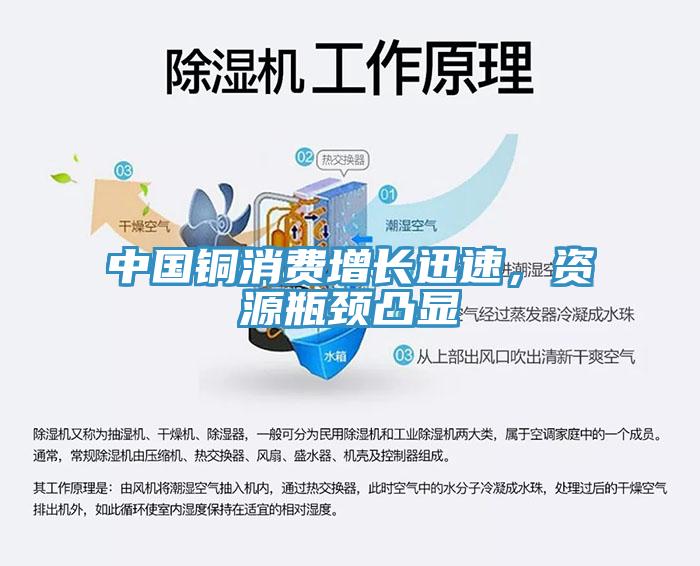 中国铜消费增长迅速，资源瓶颈凸显