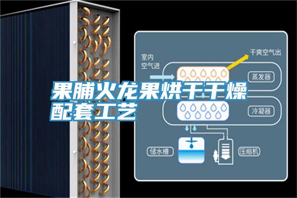 果脯火龙果烘干干燥配套工艺