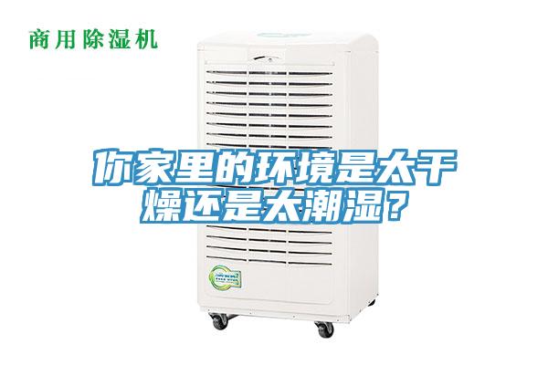 你家里的环境是太干燥还是太潮湿？
