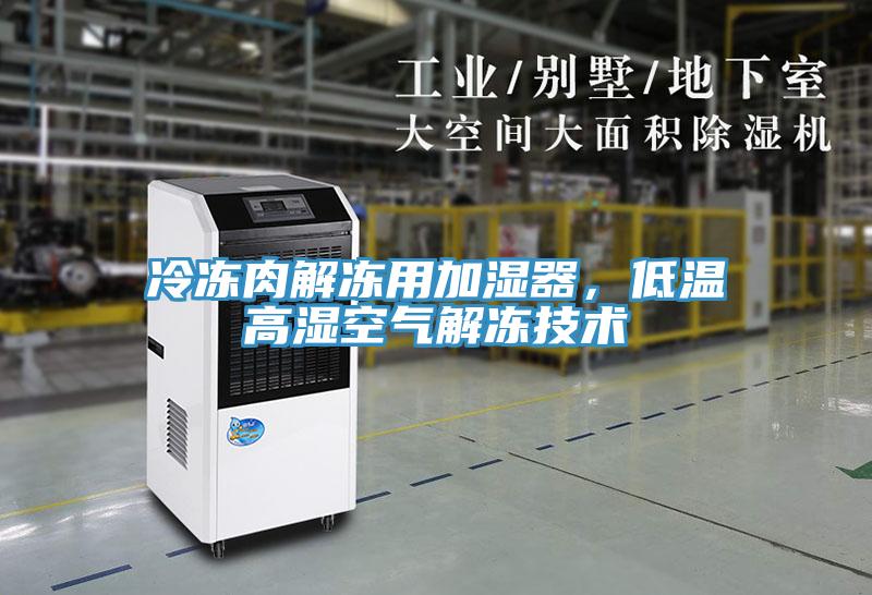 冷冻肉解冻用加湿器，低温高湿空气解冻技术