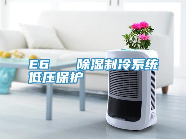 E6   除湿制冷系统低压?；?/></p>
                            <p style=