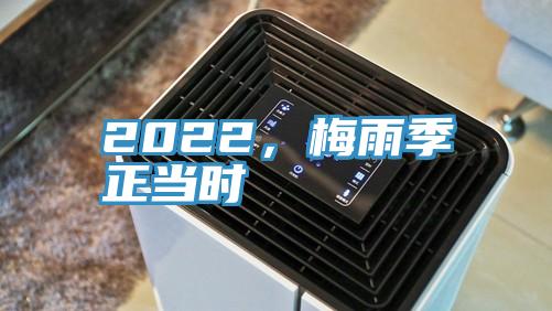 2022，梅雨季正当时