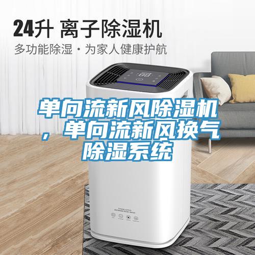 单向流新风除湿机，单向流新风换气除湿系统