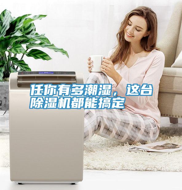 任你有多潮湿，这台除湿机都能搞定