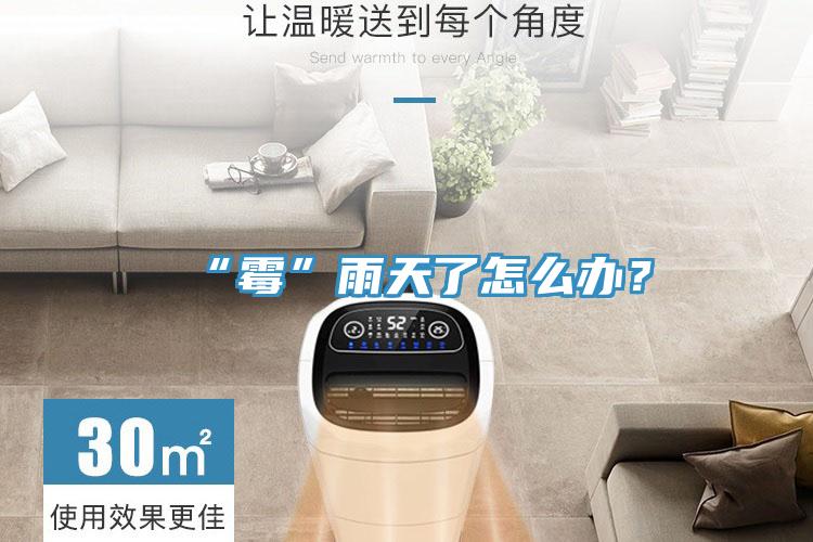 “霉”雨天了怎么办？