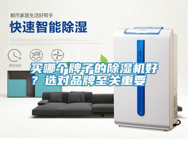 买哪个牌子的除湿机好？选对品牌至关重要