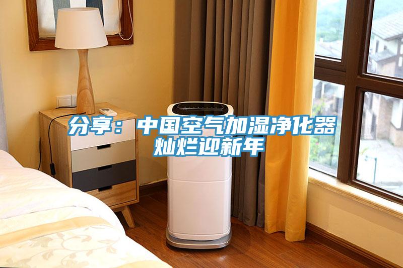 分享：中国空气加湿净化器 灿烂迎新年