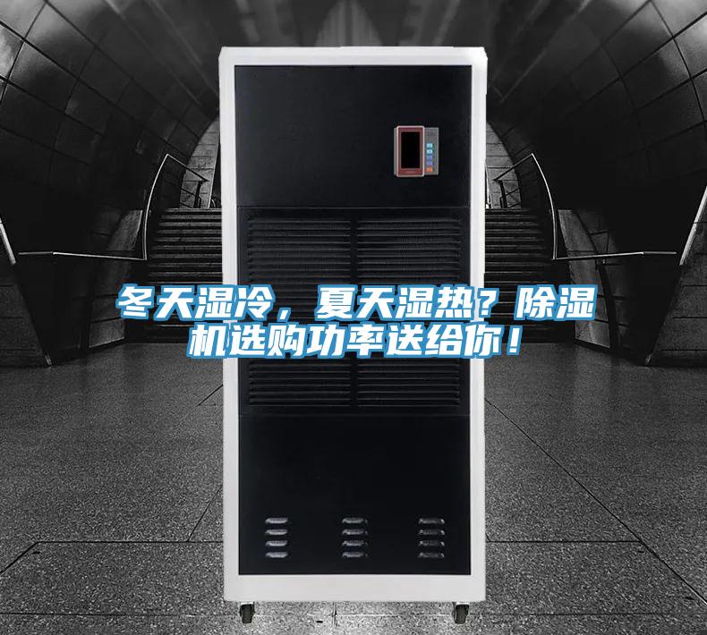 冬天湿冷，夏天湿热？除湿机选购功率送给你！