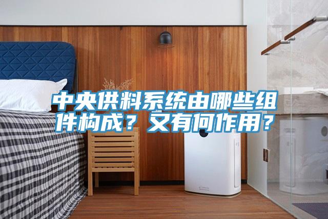 中央供料系统由哪些组件构成？又有何作用？