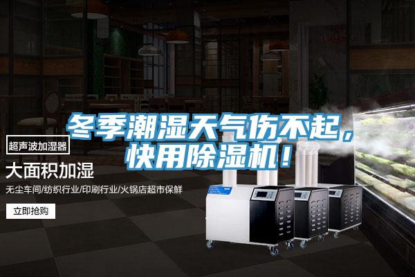 冬季潮湿天气伤不起，快用除湿机！