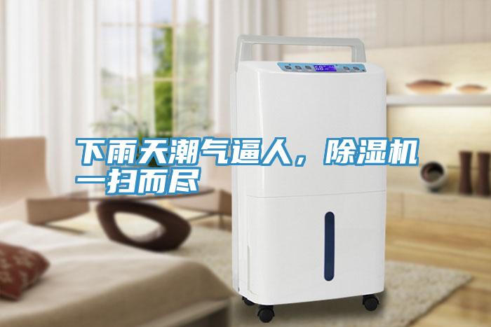 下雨天潮气逼人，除湿机一扫而尽