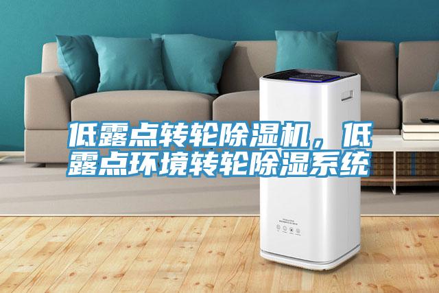 低露点转轮除湿机，低露点环境转轮除湿系统