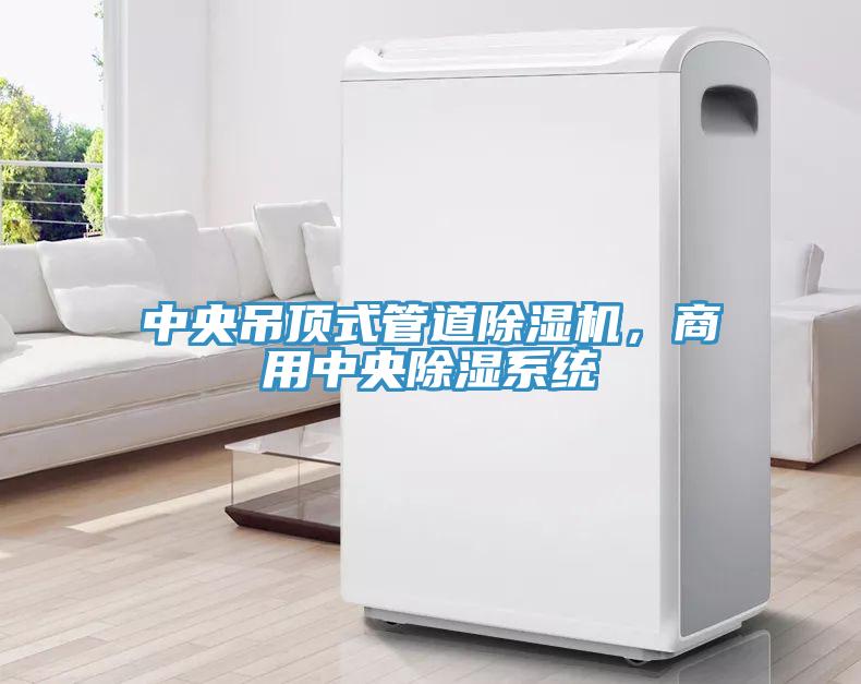 中央吊顶式管道除湿机，商用中央除湿系统