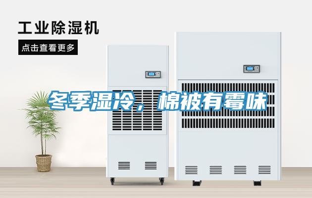 冬季湿冷，棉被有霉味