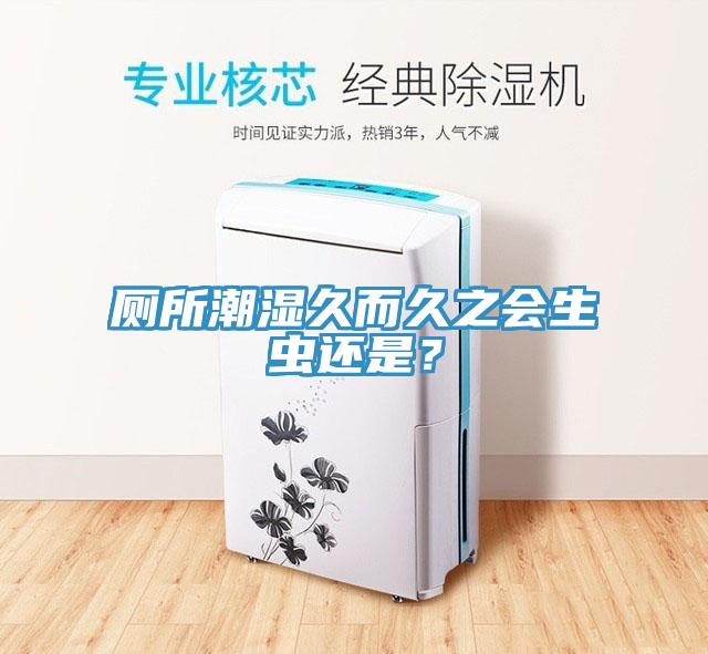厕所潮湿久而久之会生虫还是？