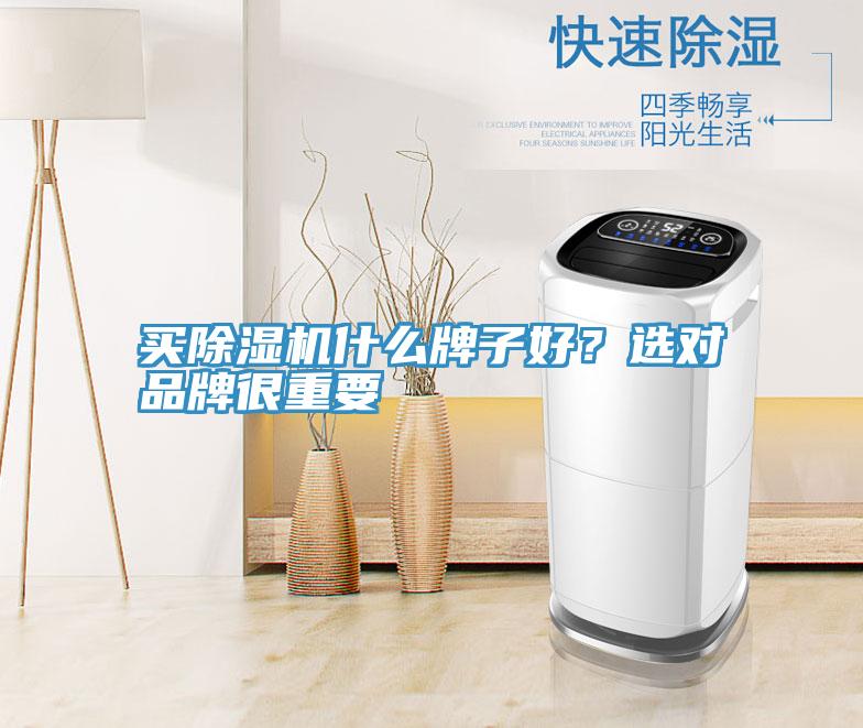买除湿机什么牌子好？选对品牌很重要