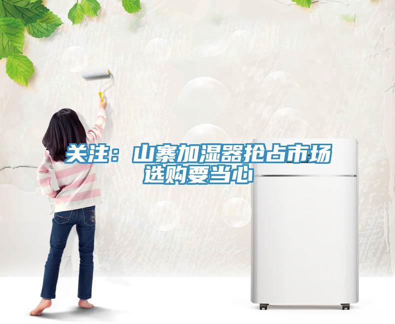 关注：山寨加湿器抢占市场　选购要当心