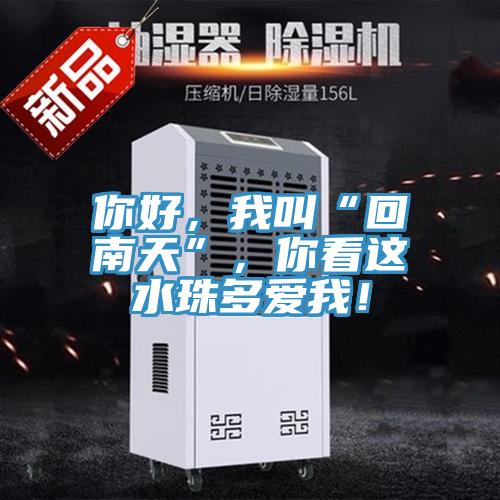 你好，我叫“回南天”，你看这水珠多爱我！