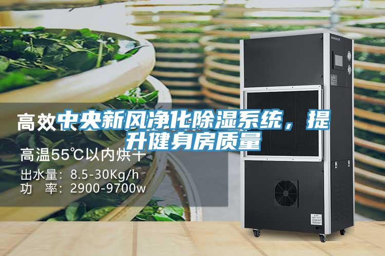 中央新风净化除湿系统，提升健身房质量