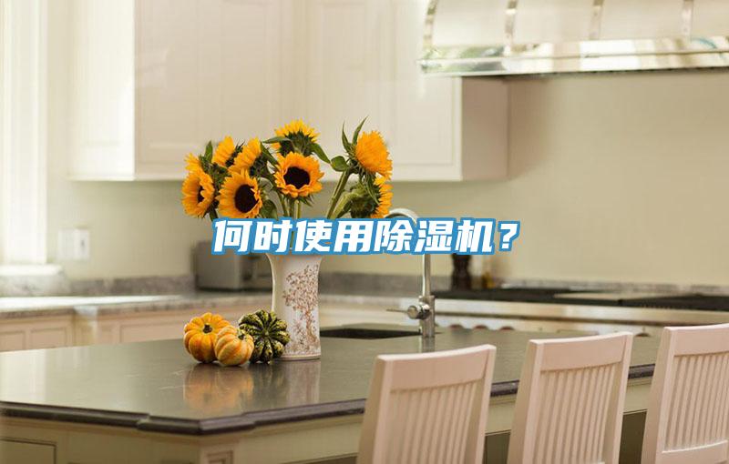 何时使用除湿机？