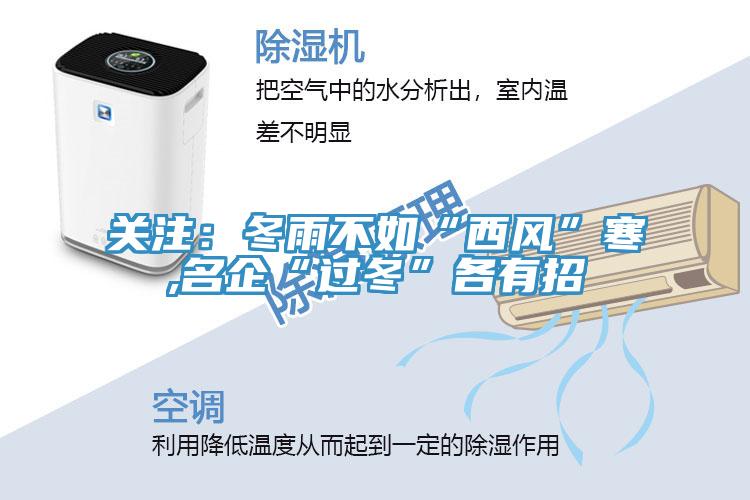 关注：冬雨不如“西风”寒,名企“过冬”各有招
