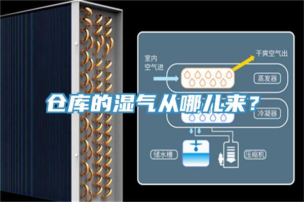 仓库的湿气从哪儿来？