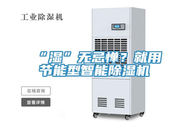 “湿”无忌惮？就用节能型智能除湿机