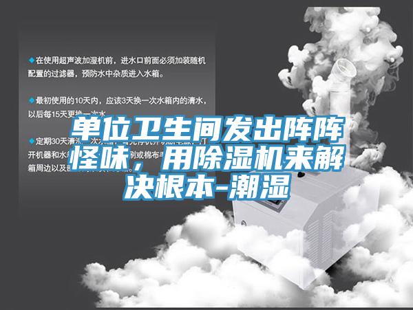 单位卫生间发出阵阵怪味，用除湿机来解决根本-潮湿