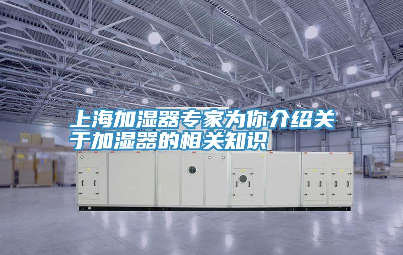 上海加湿器专家为你介绍关于加湿器的相关知识
