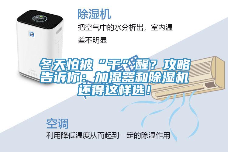 冬天怕被“干”醒？攻略告诉你：加湿器和除湿机还得这样??！