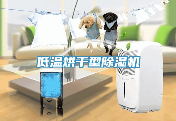 低温烘干型除湿机