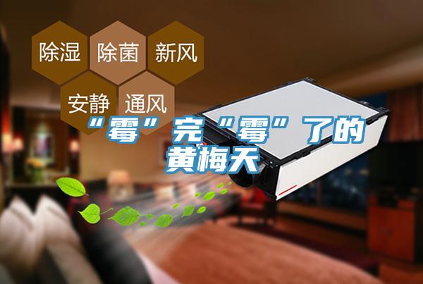 “霉”完“霉”了的黄梅天